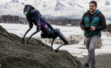 Roboti pa kokë me madhësinë e qenit, do të patrullojë në aeroportin e Alaskës për të parandaluar goditjet e shpendëve me fluturaket