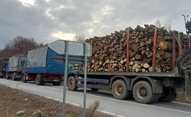 Ndalohen katër kamionë që dyshohet se po bartnin dru ilegalisht