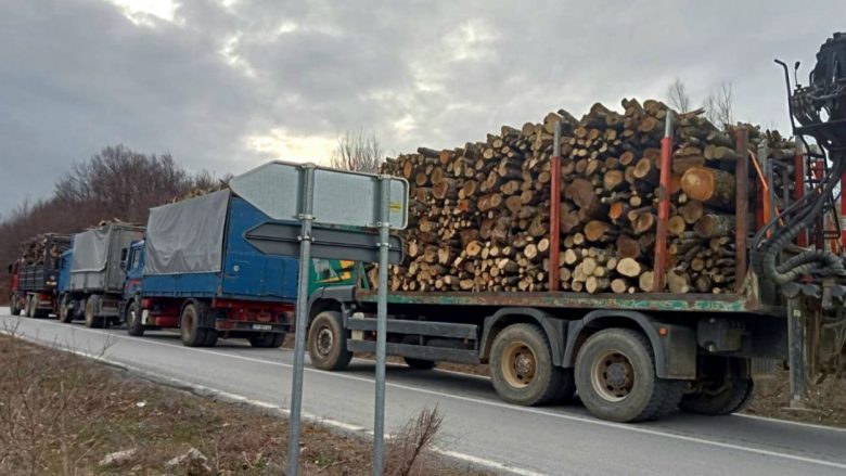 Ndalohen katër kamionë që dyshohet se po bartnin dru ilegalisht