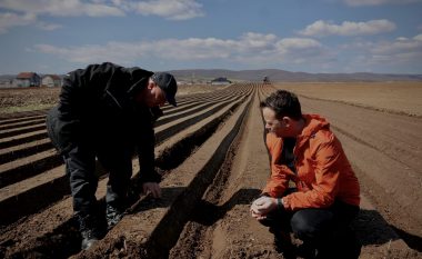 Subvencionet, Peci paralajmëron fermerët: Çdo deklarim i rrejshëm do të ketë pasoja ligjore