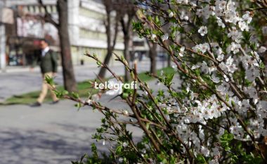 Pranvera në Prishtinë