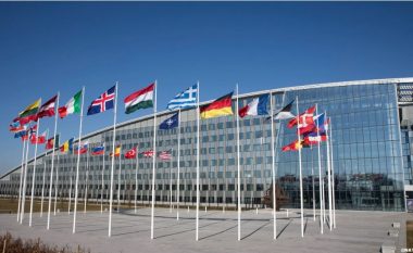 Haliti: Kosova pritet të pranohet partner i acociuar në Asamblenë Parlamentare të NATO-s