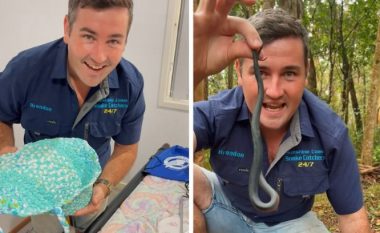 Prindërit australianë publikojnë pamjet – gjarpri helmues shfaqet në dhomën e fëmijëve të tyre