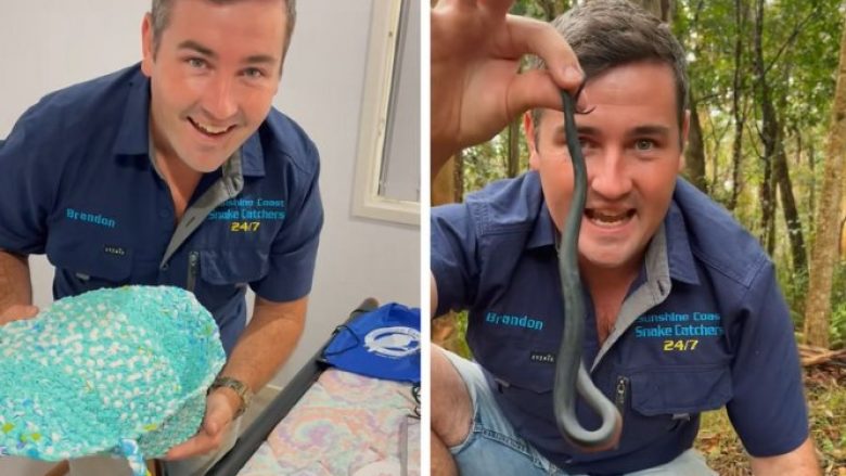 Prindërit australianë publikojnë pamjet – gjarpri helmues shfaqet në dhomën e fëmijëve të tyre