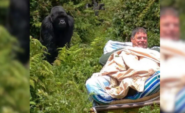 Burri realizon “ëndrrën e jetës së tij” për të takuar gorillat