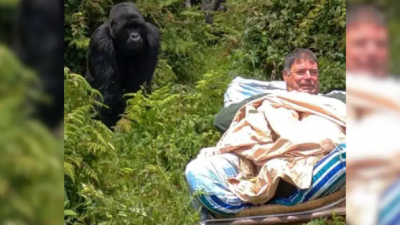 Burri realizon “ëndrrën e jetës së tij” për të takuar gorillat