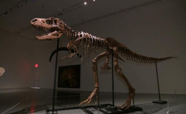 Zbulim i rrallë në Francë – gjenden eshtrat gati të paprekura të një dinozauri