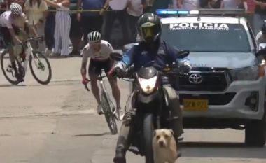 Dhe ‘fitues’ në garën për çiklistët është qeni – shikoni videon që emocionoi botën