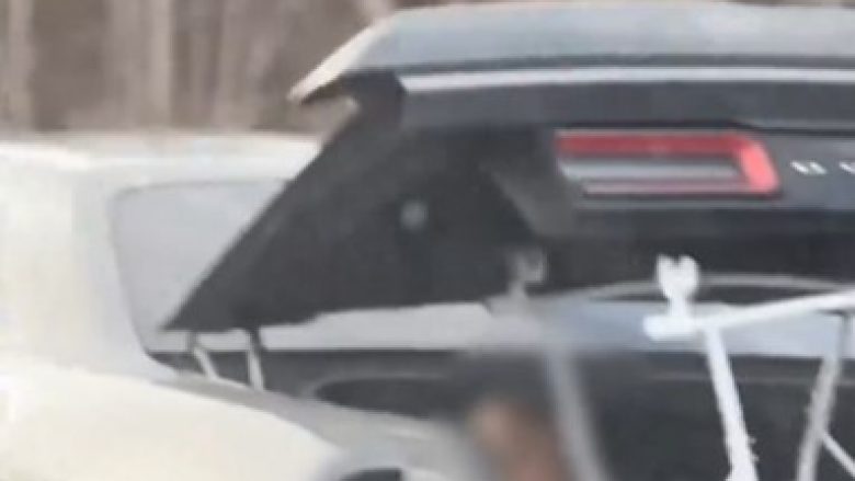 Ajo që policia në Georgia pa në bagazhin e makinës së kësaj gruaje i shtyu ta arrestonin atë