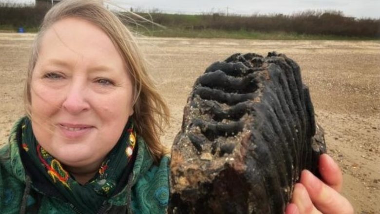 Duke ecur në plazhin e Essexit, britanikja gjeti një dhëmb vigani 1.8 milion vjeç