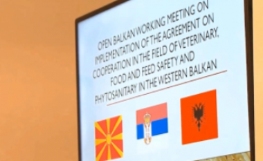 Mbi 700 qytetar të RMV kanë shprehur interes për të punuar në Serbi ose Shqipëri në iniciativën Ballkani i Hapur