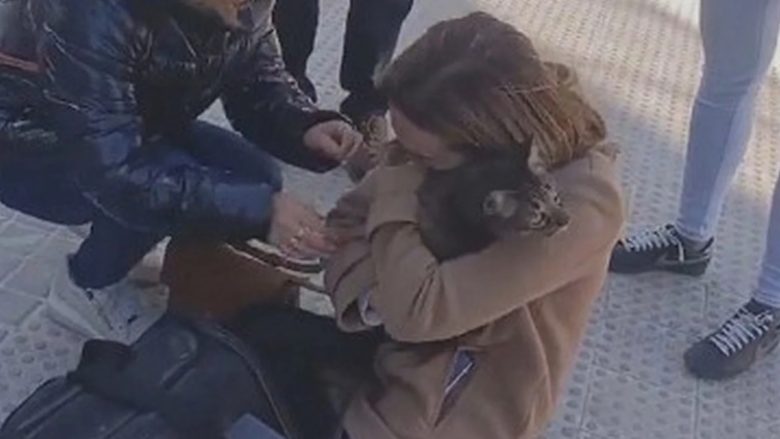 Pas tetë ditësh, një mace e gjallë u gjet në vendin e një zjarri shkatërrues në Spanjë