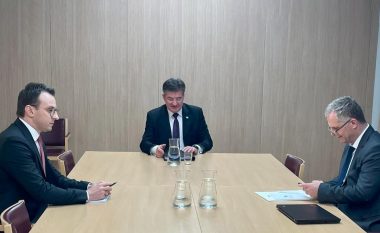 Qeveria jep detaje nga takimi i Bislimit me Petkoviqin në Bruksel