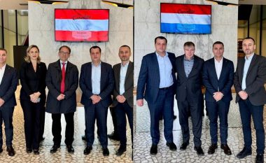 Ambasadorët e Austrisë dhe Luksemburgut vizitojnë Devolli Corporation
