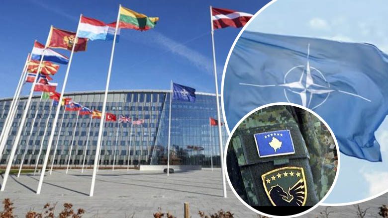 Hap i madh për sigurinë – avancimi i statusit të Kosovës në Asamblenë Parlamentare të NATO-s, roli i saj dhe reagimet  