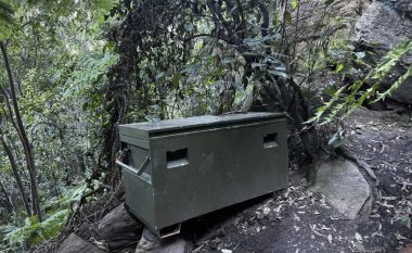 Një kuti e gjelbër u gjet thellë në një pyll australian – se çka ka brenda saj është ende mister, njerëzit dyshojnë për më të keqen