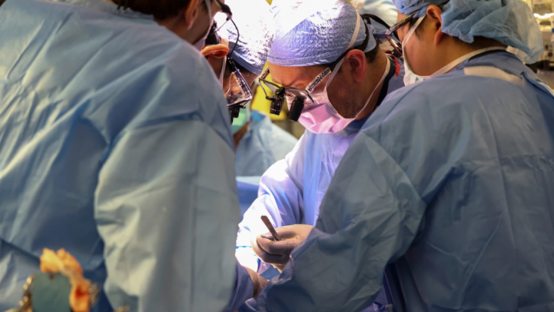 Për herë të parë, mjekët transplantojnë veshkën e derrit tek njeriu