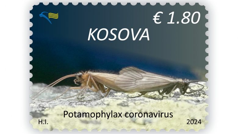 “Potamophylax coronavirus”, lëshohen në qarkullim pullat postare “Fauna endemike”