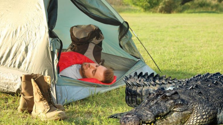 Krokodili i afrohet fshehurazi turistit duke fjetur, epilogu është i pabesueshëm në Meksikë – po të mos ekzistonte videoja, nuk do ta besoni se kjo ka ndodhur