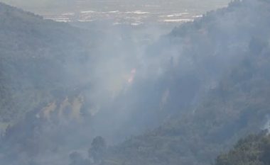 Zjarr në kodrat e Fierit, ndërhyrja e zjarrfikësve e vështirë