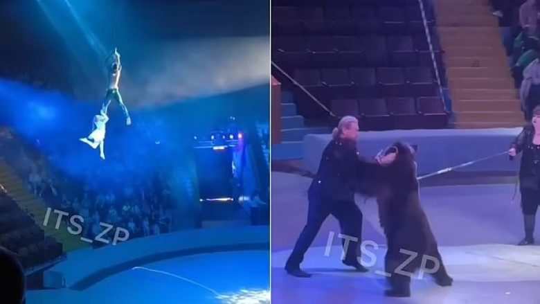 Dy incidente të tmerrshme në cirkun ukrainas, akrobatët rrëzohen nga lartësia – punonjësin e sulmon ariu