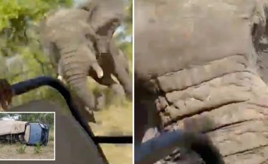 Elefanti sulmon veturën me turistë në parkun nacional në Zambi, humb jetën amerikani 80-vjeç