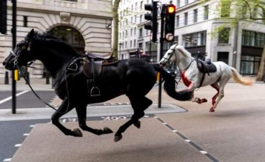 Dramë në Londër, kuajt e arratisur rrëzojnë kalorësit dhe shkaktojnë kaos – lëndohen katër persona