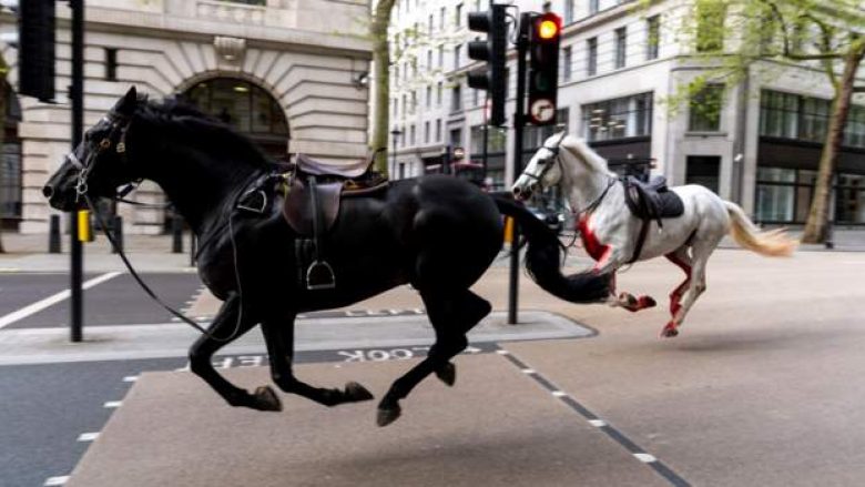 Dramë në Londër, kuajt e arratisur rrëzojnë kalorësit dhe shkaktojnë kaos – lëndohen katër persona