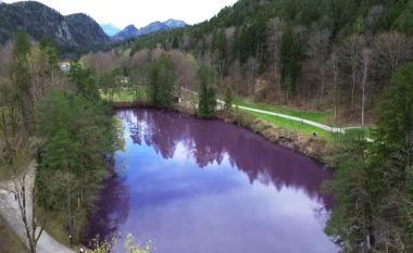 Liqeni merr ngjyrë vjollce në Gjermani – shkencëtarët kanë shpjegim rreth fenomenit të rrallë natyror
