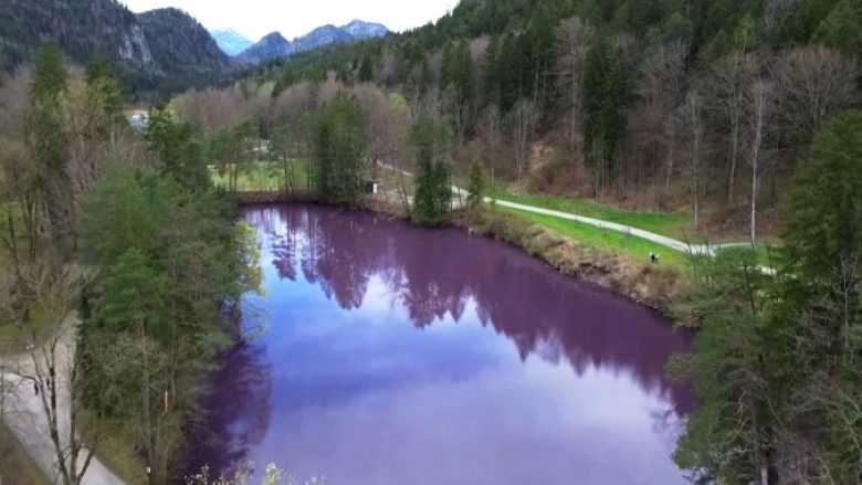 Liqeni merr ngjyrë vjollce në Gjermani – shkencëtarët kanë shpjegim rreth fenomenit të rrallë natyror