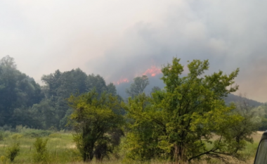 Shpërthen zjarr në malet e Demir Kapisë