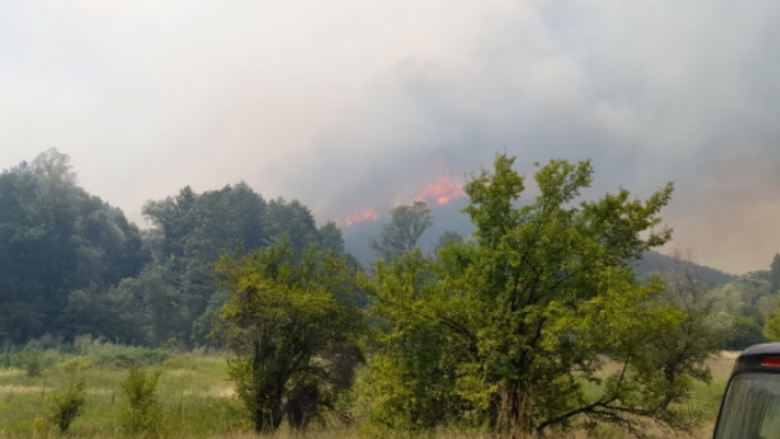 Shpërthen zjarr në malet e Demir Kapisë