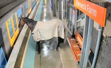 Kali iku nga stalla dhe përfundoi në stacionin hekurudhor të Sydneyt: Priti me mirësjellje trenin pas vijës së verdhë