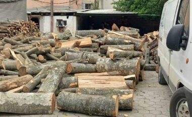 “Mbrojta e pyjeve”, ndalohen 10 automjete në Ferizaj – transportonin drunj pa dokumentacion