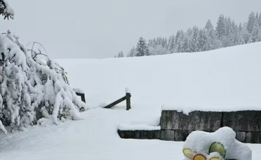 Bora mbulon Zvicrën dhe Gjermaninë