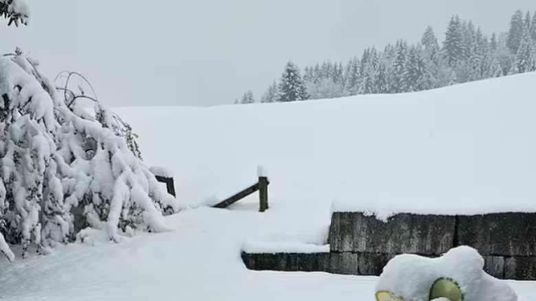 Bora mbulon Zvicrën dhe Gjermaninë