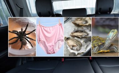 “Breshkë, të brendshme, skelet miu”, Uber tregon gjërat interesante që harrojnë njerëzit në taksi