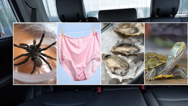 “Breshkë, të brendshme, skelet miu”, Uber tregon gjërat interesante që harrojnë njerëzit në taksi