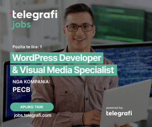WordPress Developer & Visual Media Specialist