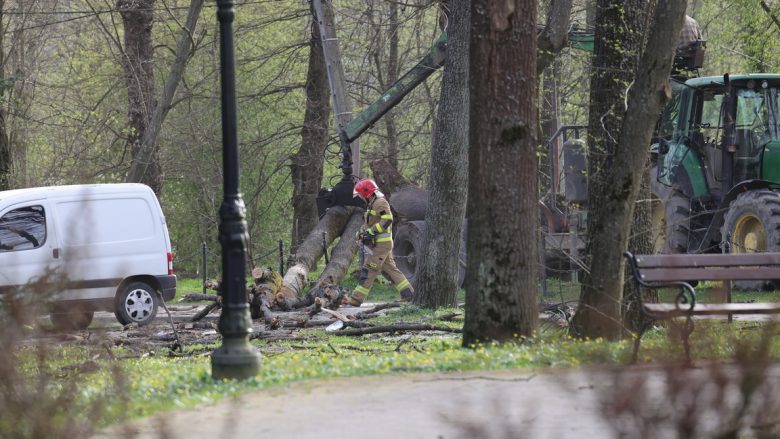 Pesë të vdekur nga rrëzimi i pemëve teksa erërat arrijnë shpejtësinë prej 155 km/h në Poloni