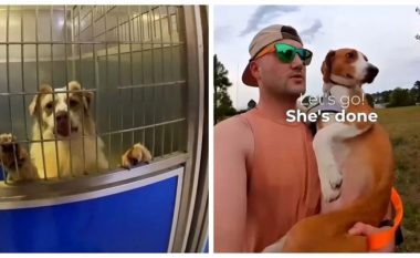 Një marins vrapoi me qenin që askush nuk dëshironte ta adoptonte, reagimet e tyre bëjnë të gjithë të qeshin