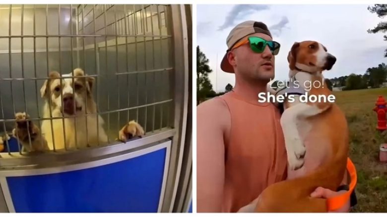 Një marins vrapoi me qenin që askush nuk dëshironte ta adoptonte, reagimet e tyre bëjnë të gjithë të qeshin