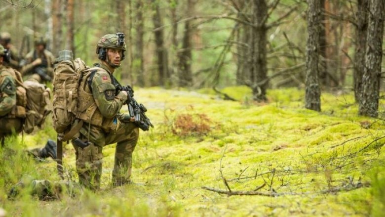 Ministri norvegjez nuk e përjashton dërgimin e ushtrisë në Ukrainë, por jo për të luftuar kundër Rusisë