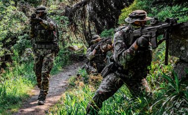 Njësiti special serb “Kobra” dyshohet të jetë pjesë e trajnimeve të grupeve terroriste pranë kufirit me Kosovën