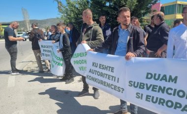 “Bojkotoni qumështin serb”, blegtorët shqiptarë në protestë për çmimet e ulëta të qumështit dhe mungesën e subvencioneve
