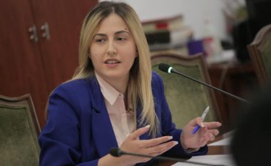 Ligji për nënat surrogato në Shqipëri, Shehu: I shtyrë nga grupet kriminale, nëse miratohet do të pasohet nga ligji i martesave homoseksuale