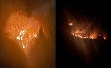 Zjarri në malet e Rugovës, nga Komuna e Pejës thonë se i njëjti u lokalizua gjatë mesnatës