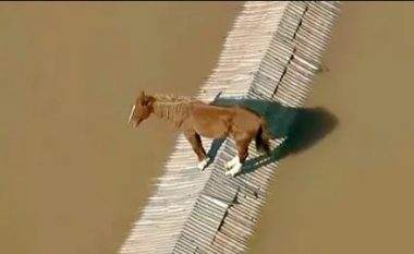 Kali filmohet në çatinë e një shtëpie të zhytur në ujë në Brazil, autoritetet do të përpiqen ta shpëtojnë me helikopter