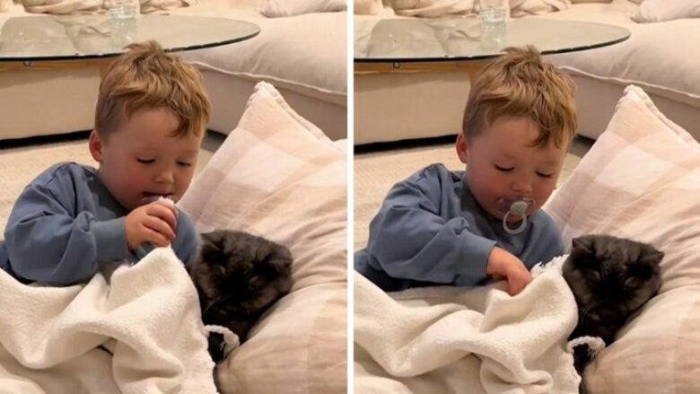 Djali e futi macen në shtrat, sjellja ndaj kafshës shtëpiake preku njerëzit