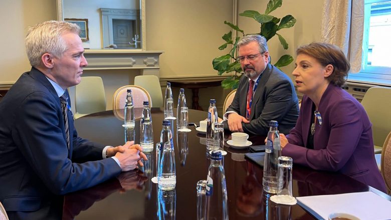 Gërvalla në takim me ministrin finlandez: Kosova i ka plotësuar kushtet për anëtarësim në KiE